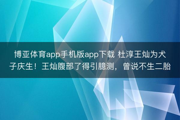 博亚体育app手机版app下载 杜淳王灿为犬子庆生！王灿腹部了得引臆测，曾说不生二胎