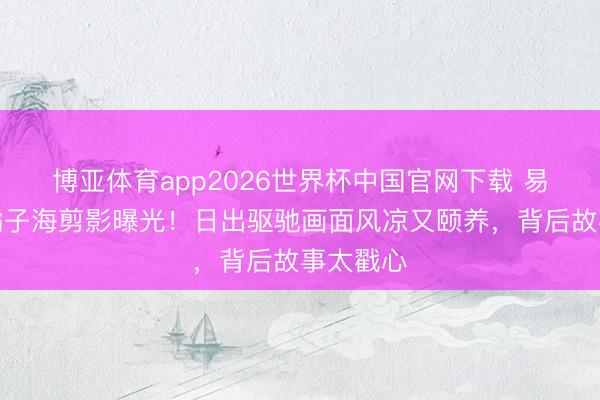 博亚体育app2026世界杯中国官网下载 易烊千玺橘子海剪影曝光！日出驱驰画面风凉又颐养，背后故事太戳心