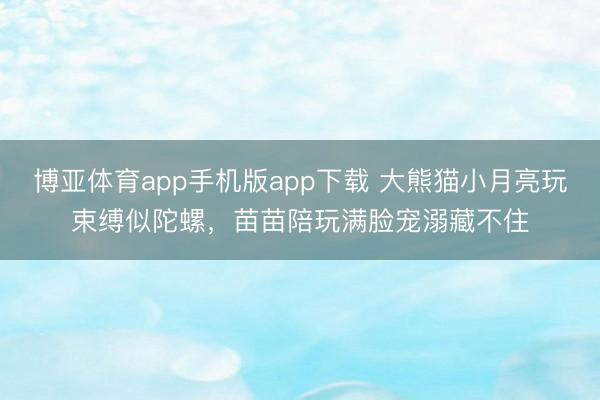 博亚体育app手机版app下载 大熊猫小月亮玩束缚似陀螺，苗苗陪玩满脸宠溺藏不住