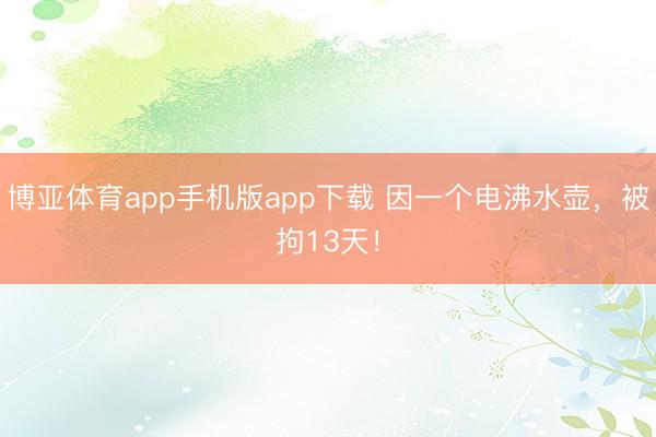 博亚体育app手机版app下载 因一个电沸水壶，被拘13天！